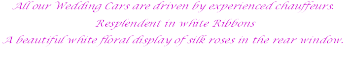 All our Wedding Cars are driven by experienced chauffeurs.

 Resplendent in white Ribbons 

A beautiful white floral display of silk roses in the rear window. 

